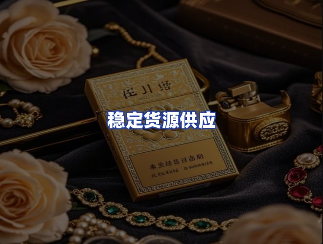 专业团队